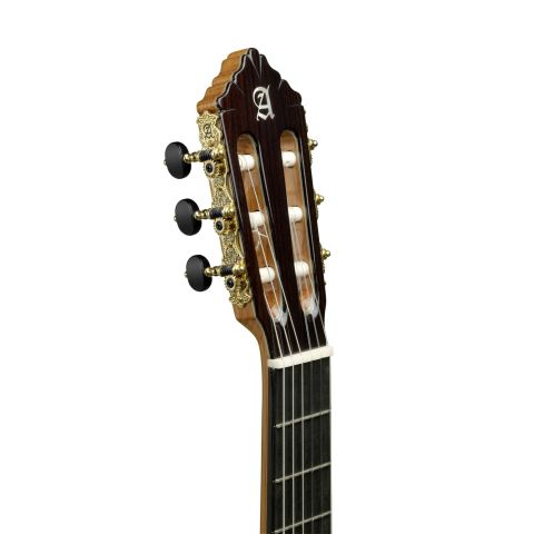 Alhambra 11 de Palosanto luthier con estuche y tres años de garantía. Pala y clavijero