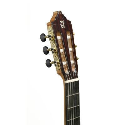 Alhambra 9p palosanto clavijero y pala
