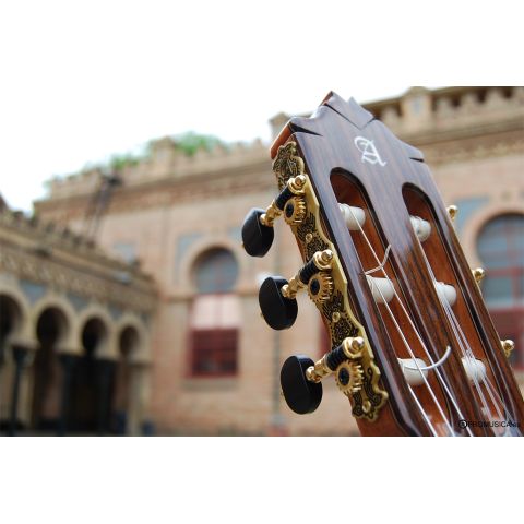 Alhambra 9p palosanto clavijero de la guitarra