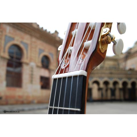 Alhambra Linea Profesional