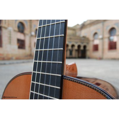 Alhambra Linea Profesional