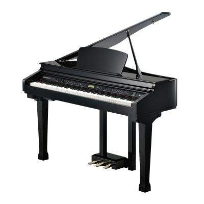 Kurzweil Kag-100 Negro Pulido 2