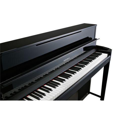 Kurzweil Cup-1 Negro Pulido Tecla Madera
