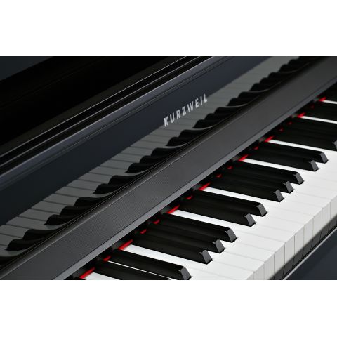 Kurzweil Cup-1 Negro Pulido Tecla Madera