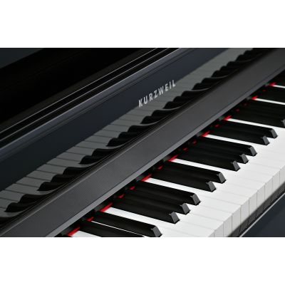Kurzweil Cup-1 Negro Pulido Tecla Madera