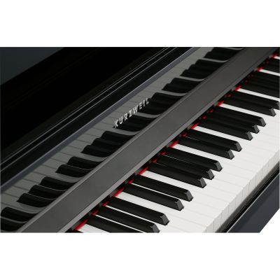 Kurzweil Cup-1 Negro Pulido Tecla Madera