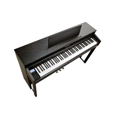 Kurzweil Cup-320 con Tecla Madera