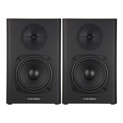 Kurzweil KS-40a Monitor Autoamplificado