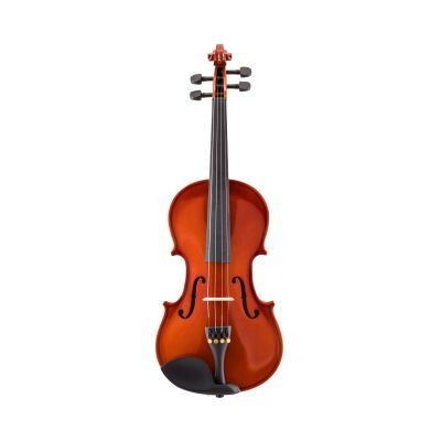 Violín Cervini Hv-100 4/4 2