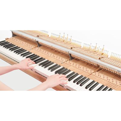 Yamaha N2