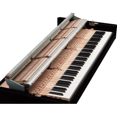 Yamaha N2