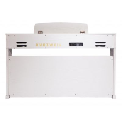 Pack Kurzweil M-210 rw