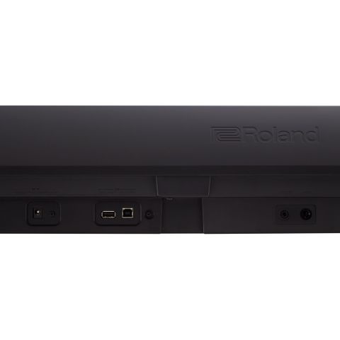 Roland FP-10 BK, adaptadores y tomas.