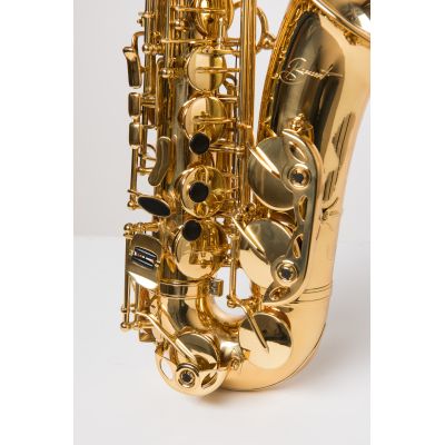 SAXO ALTO BRESSANT AS-250 
