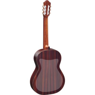 ORTEGA Protector trasero OBCF