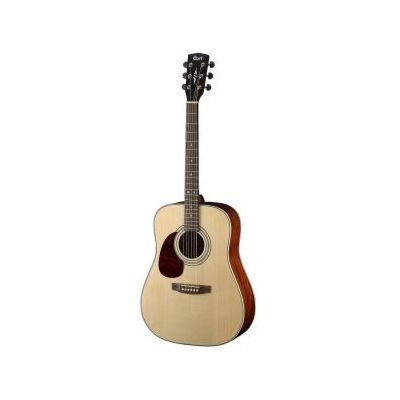CORT EARTH70 LH OP 2