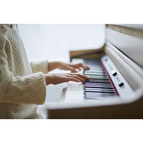 Roland HP-704 bk Negro