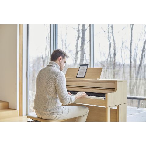 Roland HP-704 bk Negro