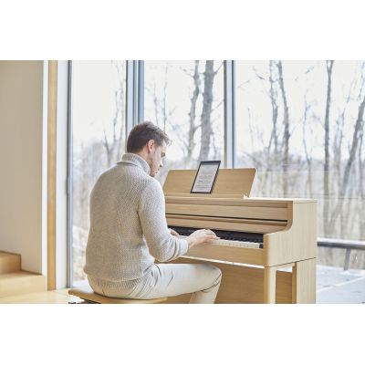 Roland HP-704 bk Negro