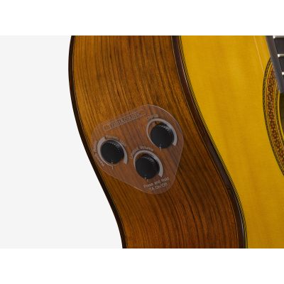 Yamaha CG TA NT TransAcoustic