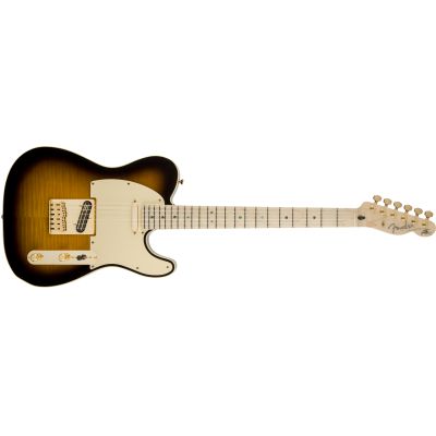Fender Richie Kotzen Telecaster®, Maple Fingerboard, Brown Sunburst