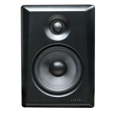 Kurzweil KS-40a Monitores Autoamplificados