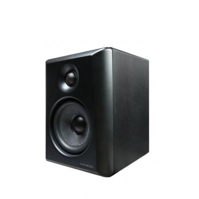 Kurzweil KS-40a Monitores Autoamplificados
