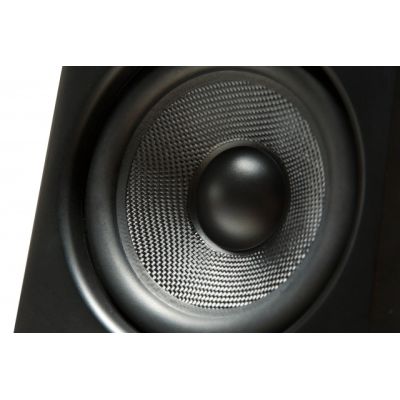 Kurzweil KS-40a Monitores Autoamplificados