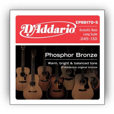 DADDARIO EPBB170-5 PHOSPHOR BRONZE 5-STRING LONG SCALE, [45-130]