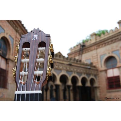 Alhambra 9p palosanto