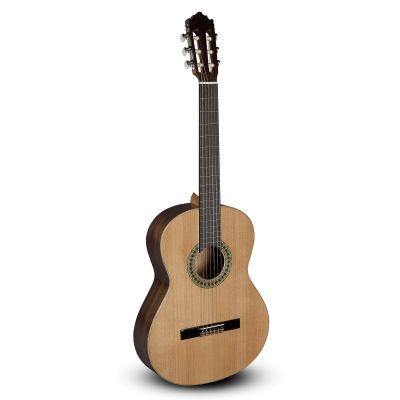 En Promúsica Guitarra Clásica Paco Castillo 201 (MATE) + Funda + Afinador 2