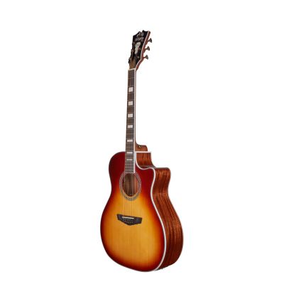D'Angelico Premier Gramercy Iced Tea Burst 2