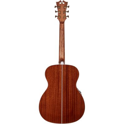 D'Angelico Premier Tammany Iced Tea Burst