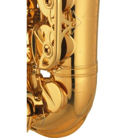 Yamaha YAS 875EX 05