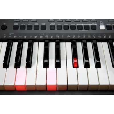 Kurzweil KP-90L teclas iluminadas con Sensibilidad