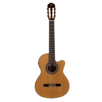 JOSE TORRES JTC-15CE Guitarra Electrificada