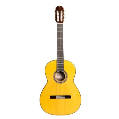 Prudencio Sáez 35F Flamenco Edición Especial LT con Funda
