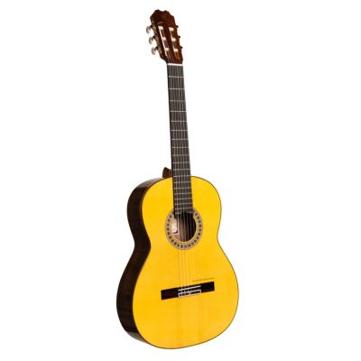 Prudencio Sáez 35F Flamenco Edición Especial LT con Funda