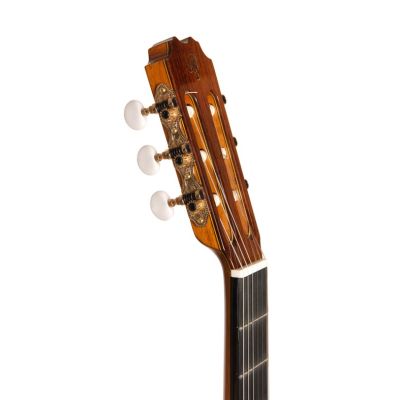 Prudencio Sáez 35F Flamenco Edición Especial LT con Funda