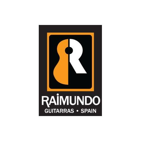 guitarras raimundo