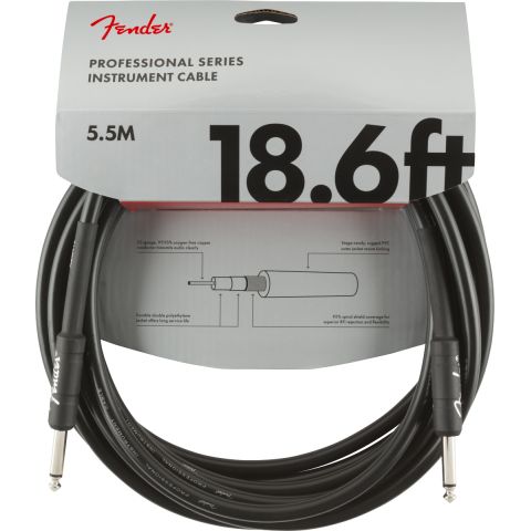 Fender Professional Series Instrument...