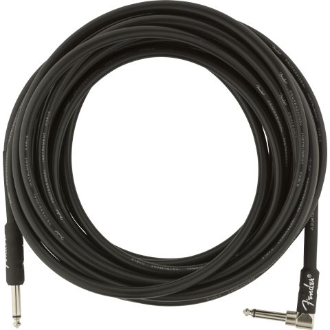 Fender Professional Series Instrument...
