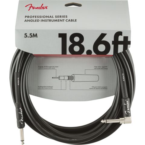 Fender Professional Series Instrument...