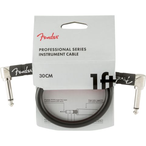 Fender Professional Series Instrument...