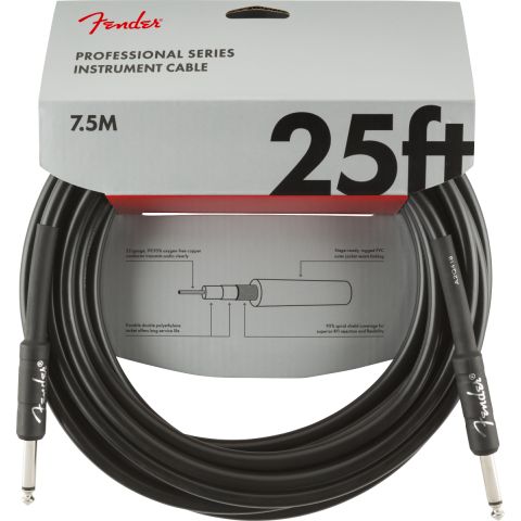 Fender Professional Series Instrument...