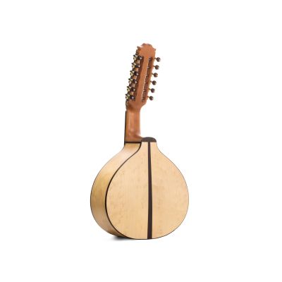 Prudencio Sáez 1700 Bandurria 2