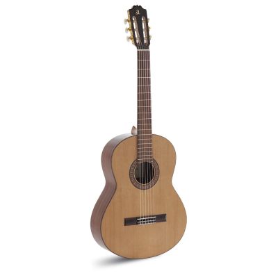 ADMIRA A2 ELECTRIFICADA CON FISHMAN