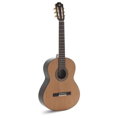 ADMIRA A4 ELECTRIFICADA CON FISHMAN