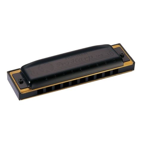 HOHNER ARMÓNICA PRO HARP 562/ 20 BX