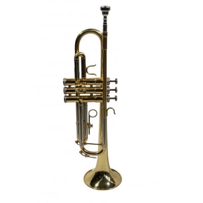 TAYLOR COLLINS TR-1 Trompeta Sib